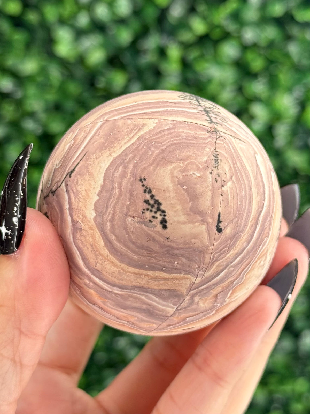 Pink Picture Jasper Spheres F