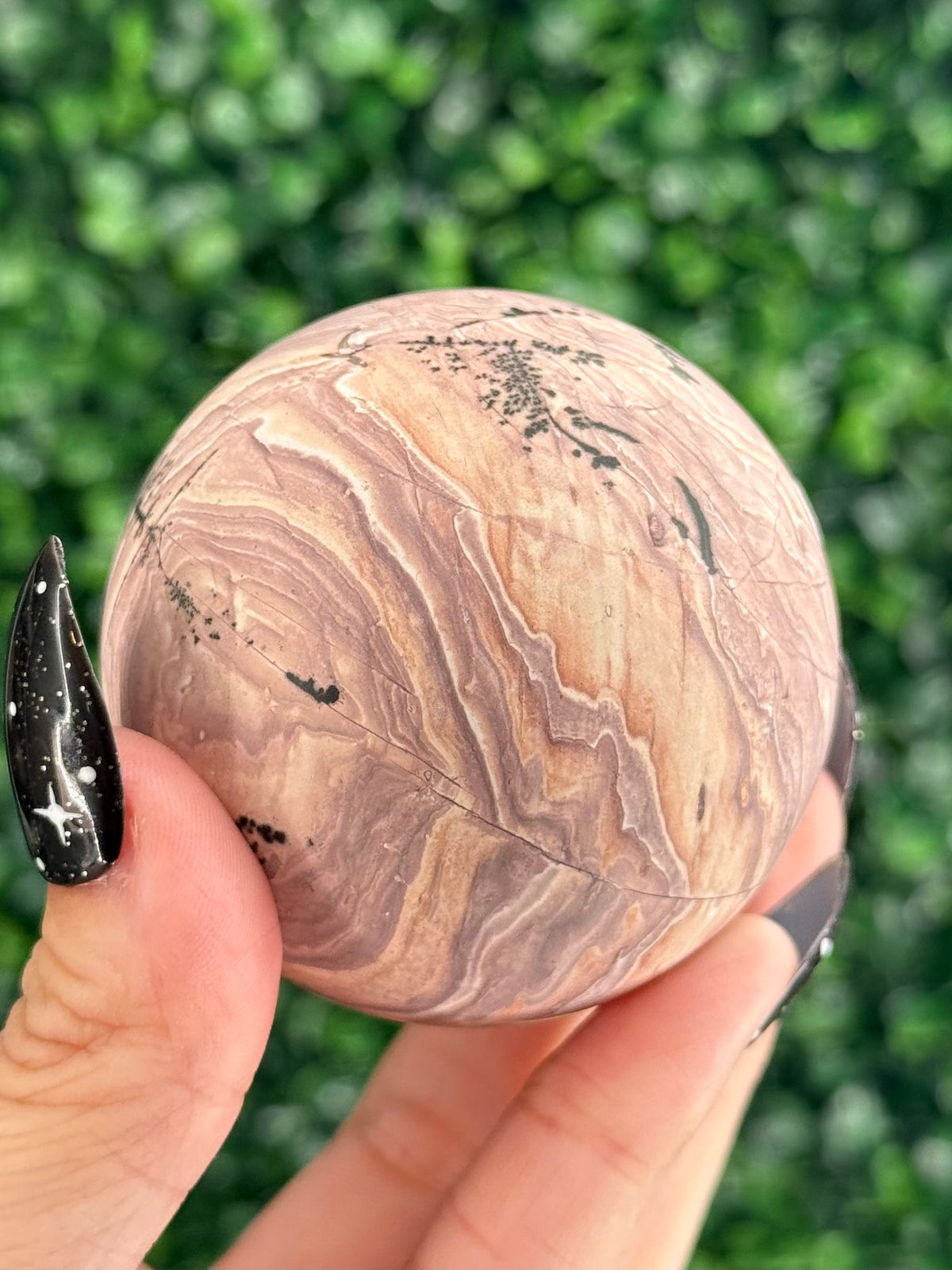 Pink Picture Jasper Spheres F