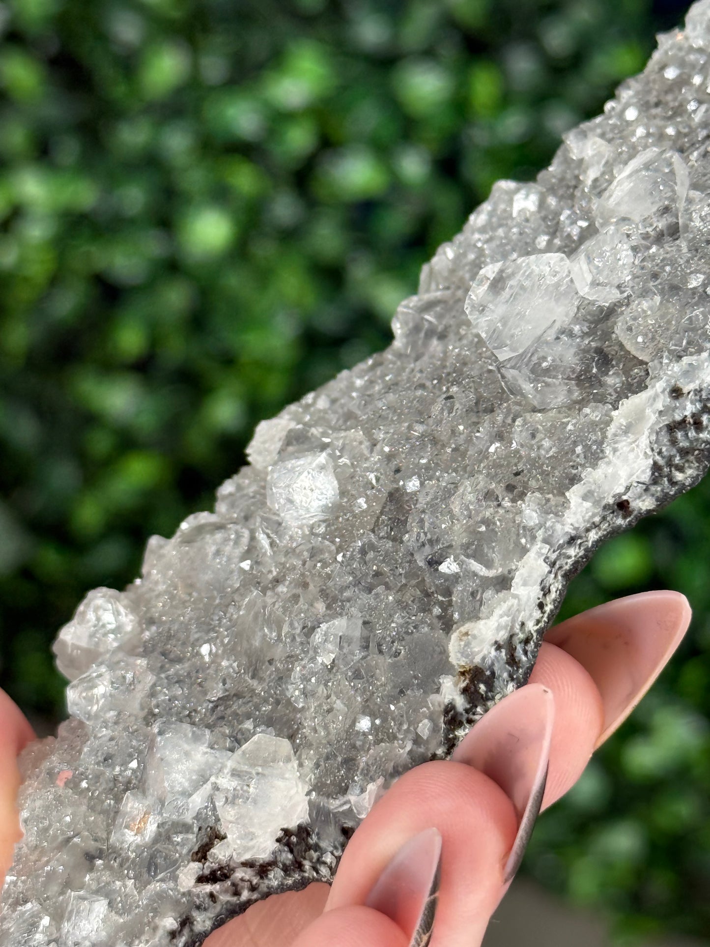 Black Chalcedony with Apophyllite M