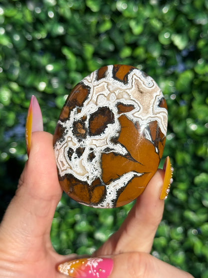 Brecciated Jasper Druzy Palmstones - Indonesia