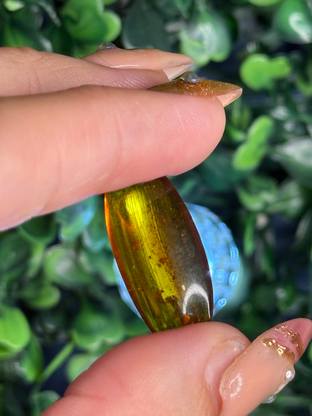 Burmese Cretaceous Amber (UV Fluorescent) with Insects and Inclusions B