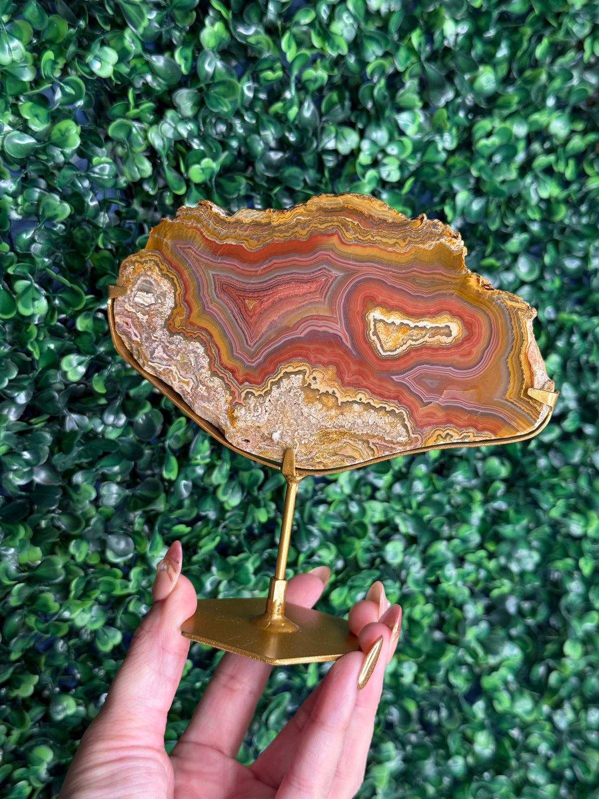 Colourful Crazy Lace Agate Slab from Indonesia - N