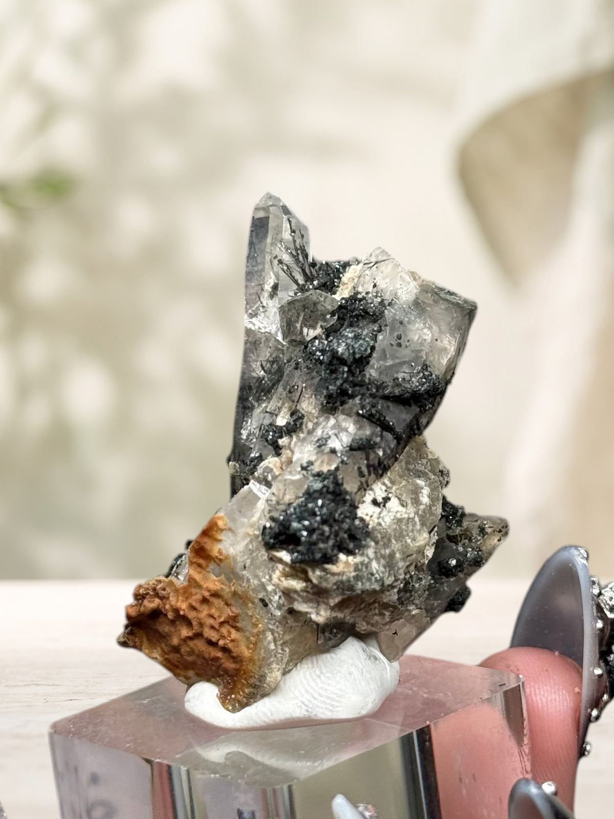 Crystal Glade laser quartz specimen from Pakistan featuring a slender tapering shape and dark tourmaline inclusions.