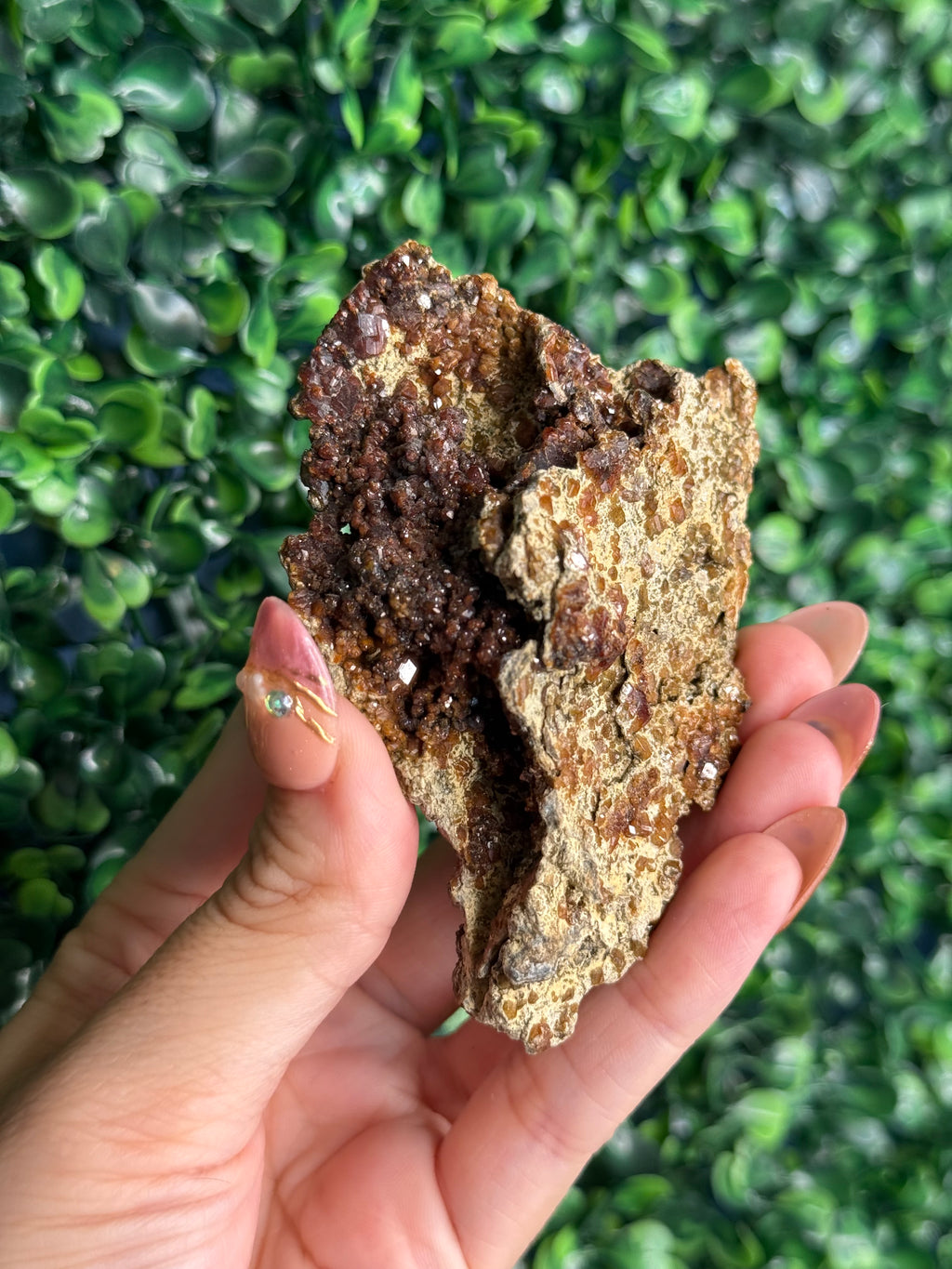 Andradite garnet from Nusa Tenggara Timur - Indonesia - F