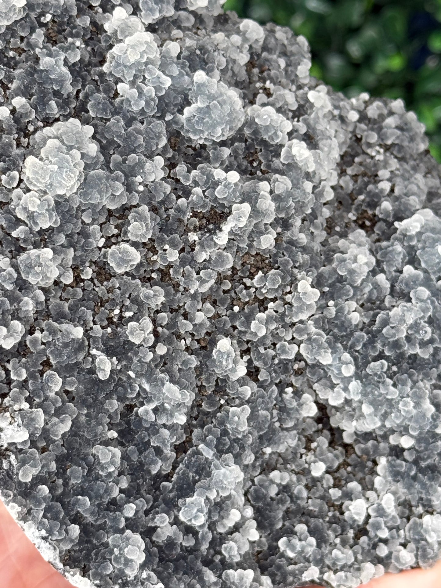 Black Chalcedony Crystal Specimen P