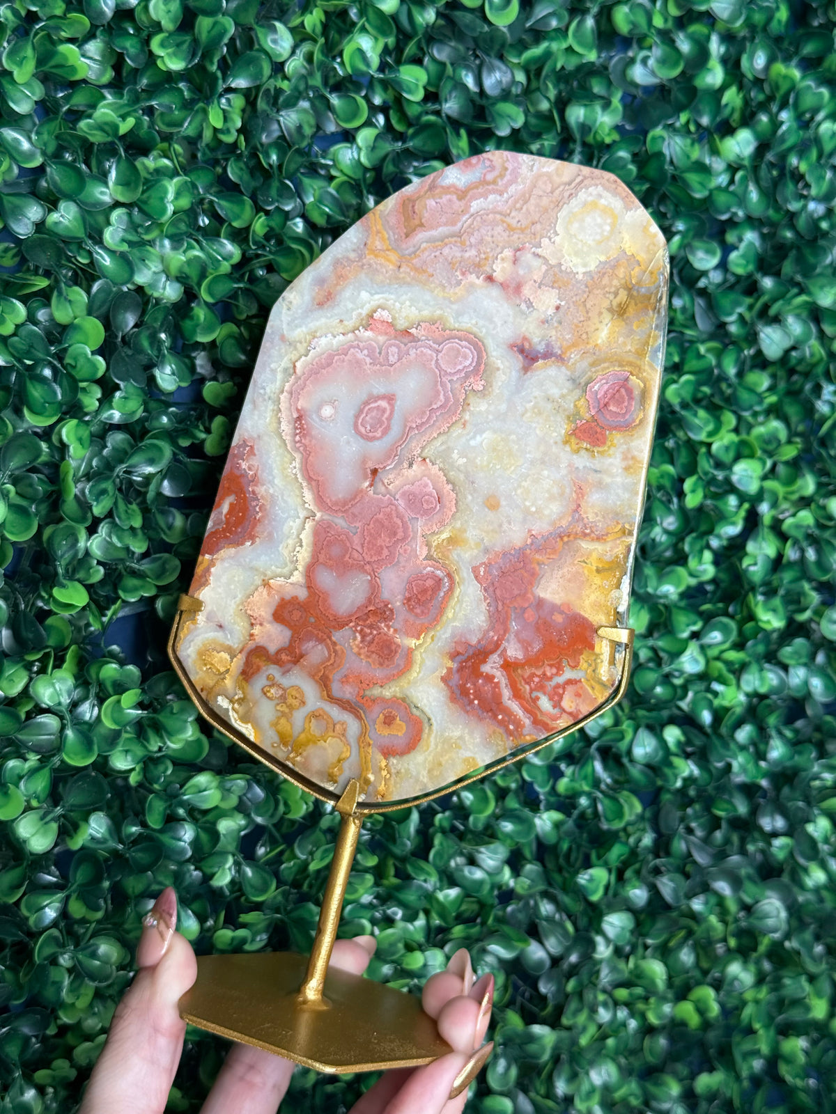 Colourful Crazy Lace Agate Slab from Indonesia F