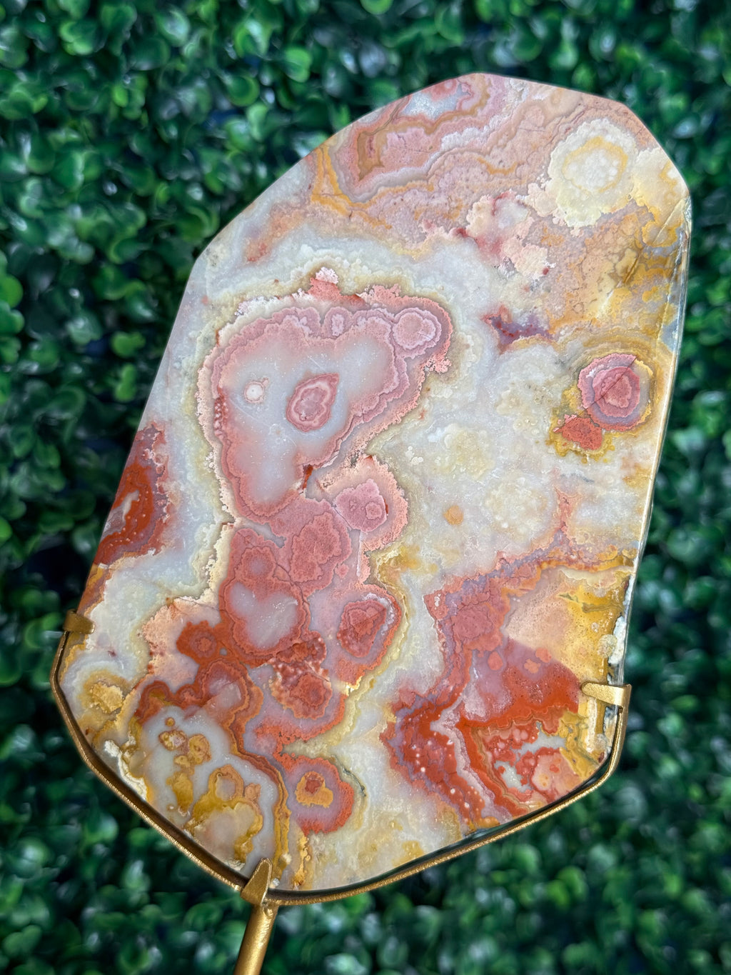 Colourful Crazy Lace Agate Slab from Indonesia F
