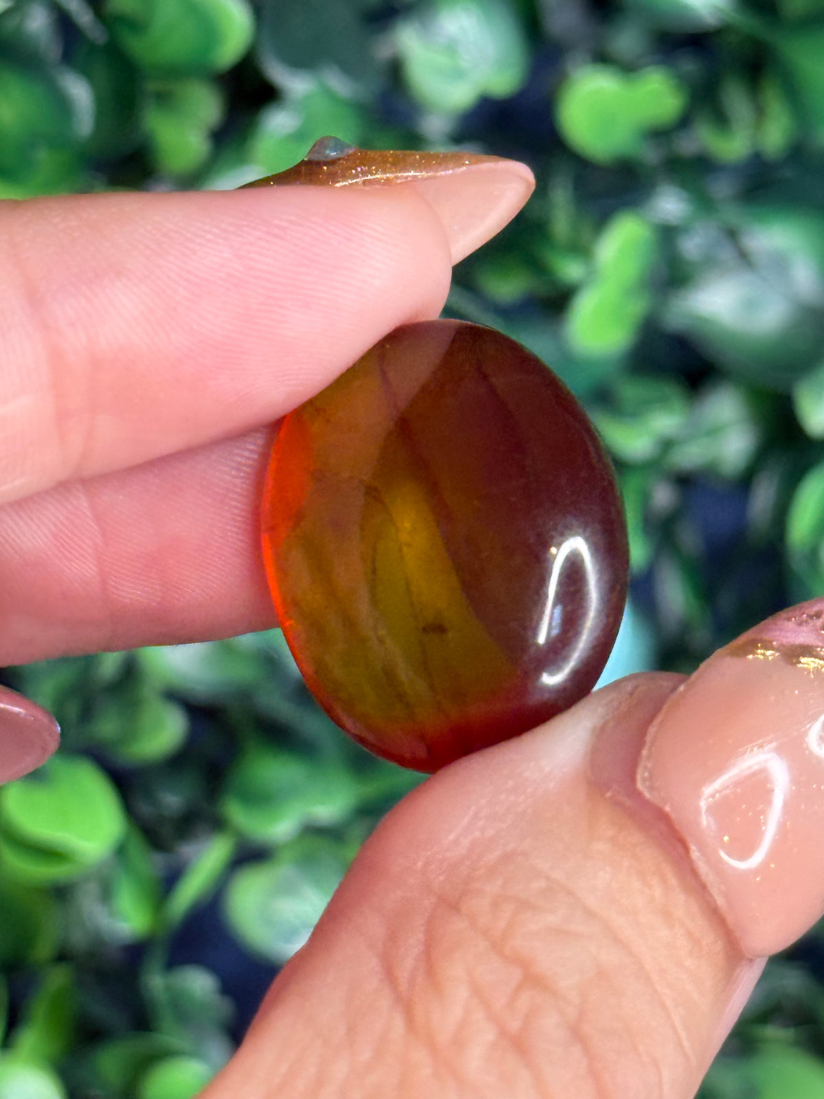 Burmese Cretaceous Amber (UV Fluorescent) with Insects and Inclusions C