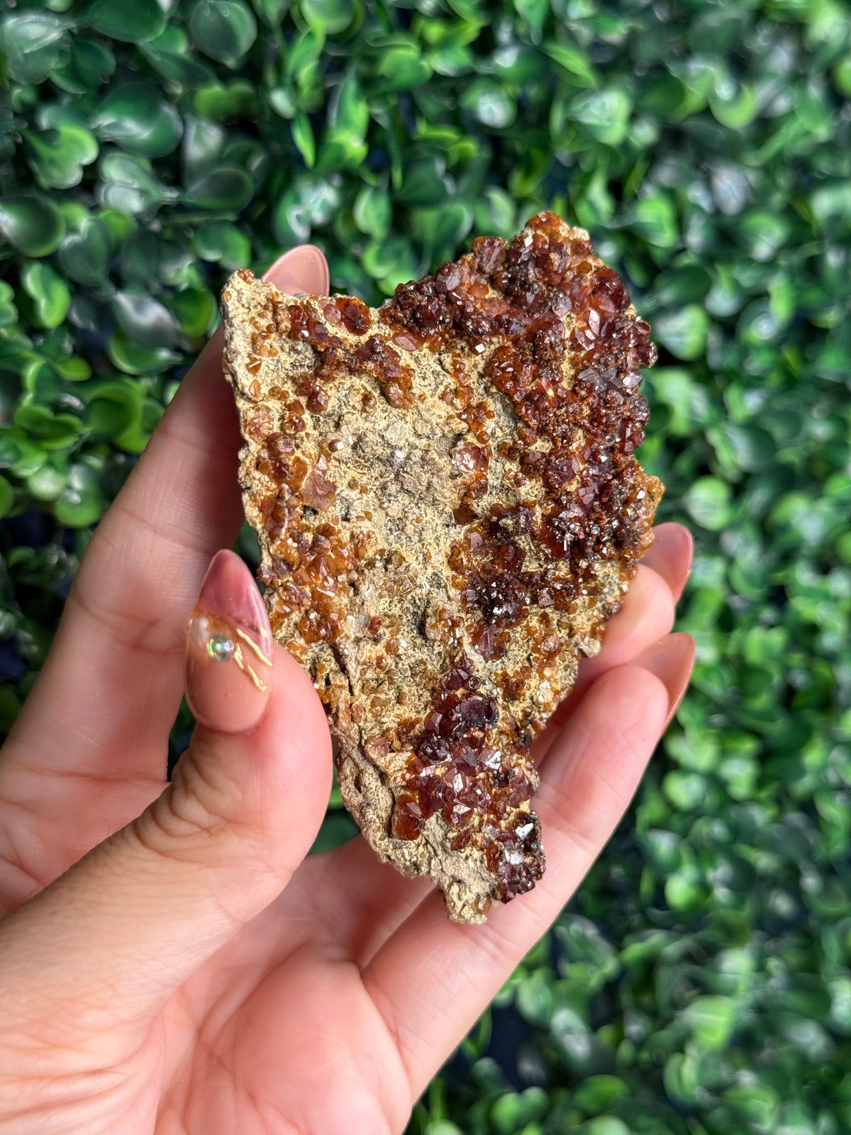 Andradite garnet from Nusa Tenggara Timur - Indonesia - F