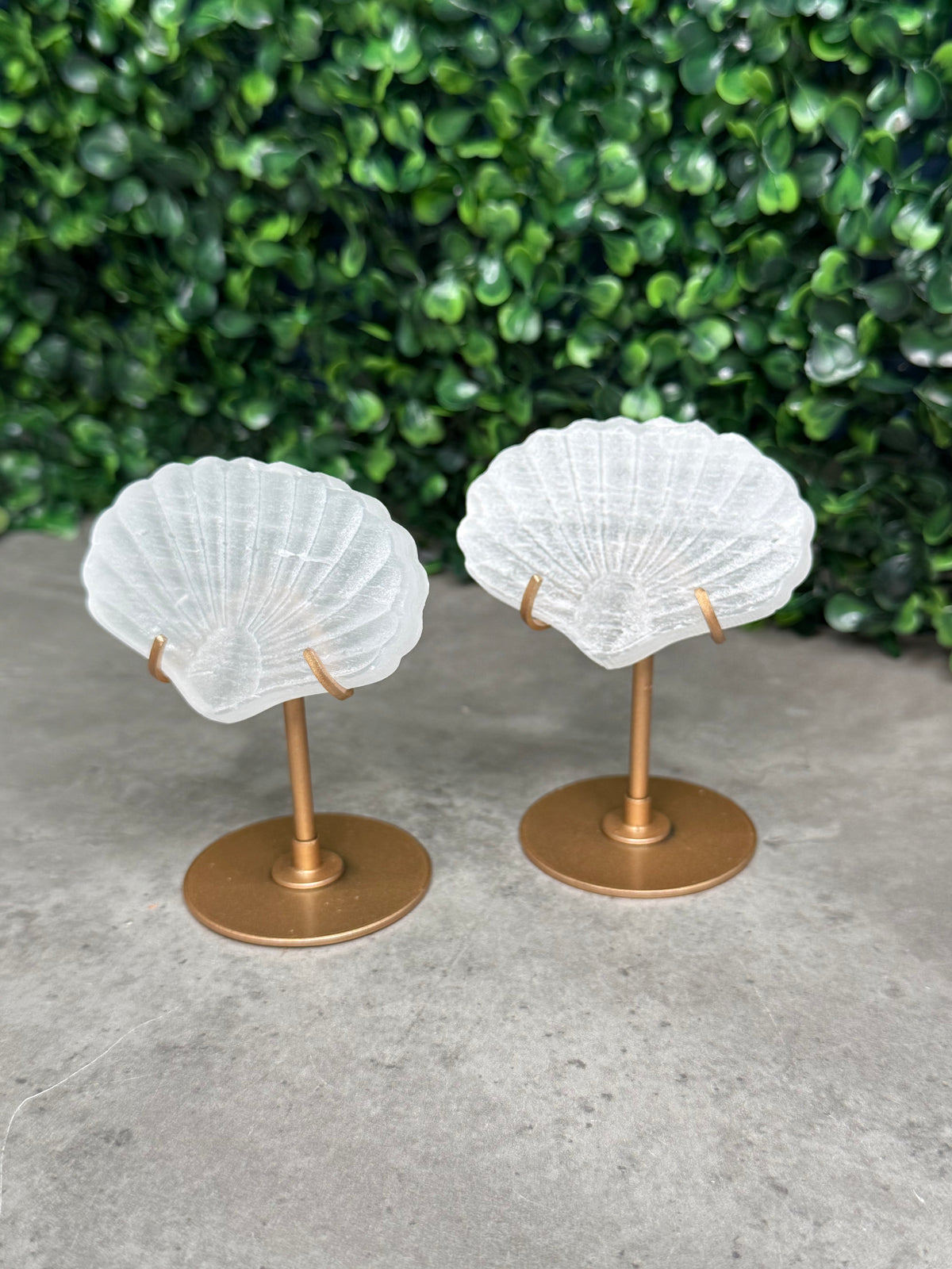 Satin Spar Selenite Shell Carving on Gold Stand
