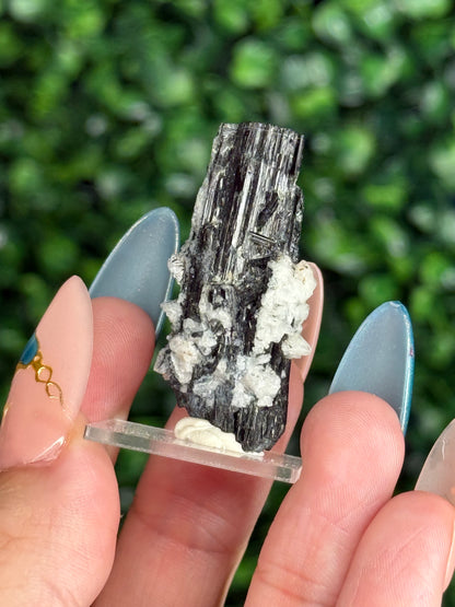 Black Tourmaline with Albite Specimen Skardu Valley, Pakistan E