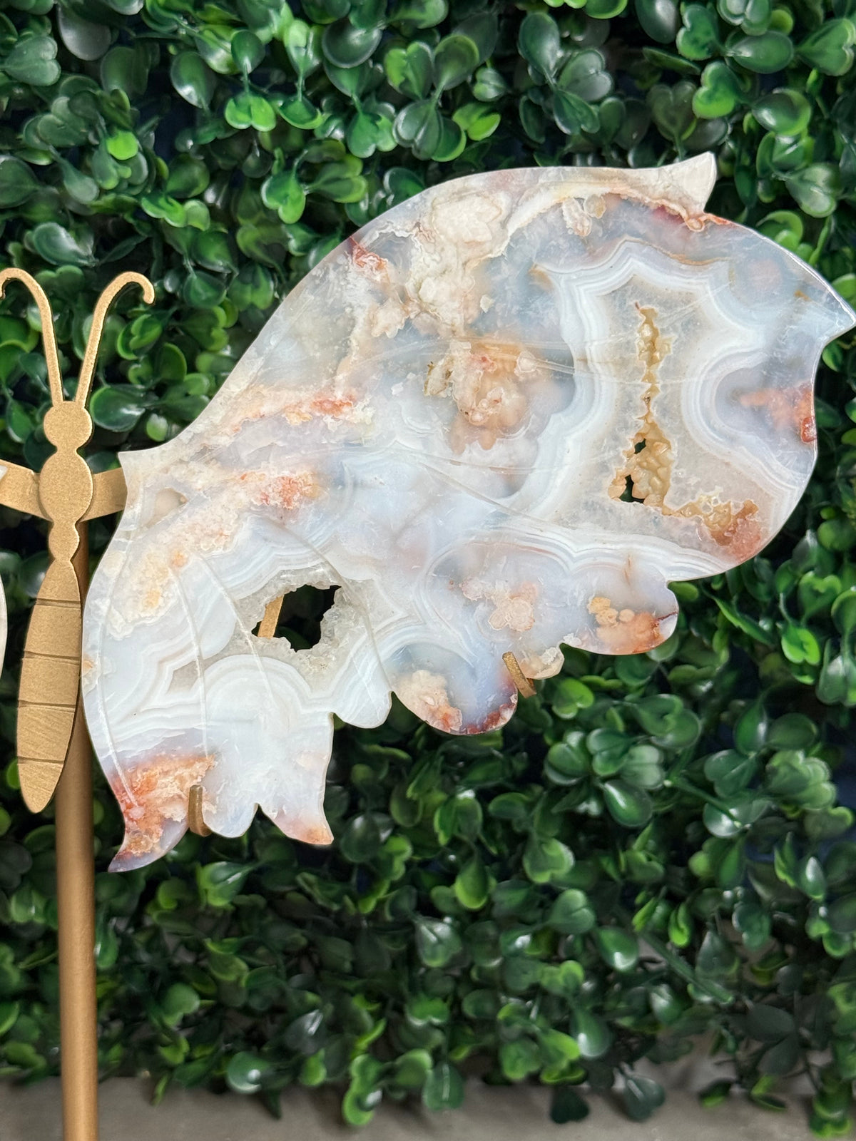 Carnelian Flower Agate Butterfly Wings Crystal Carvings - Large Size - M