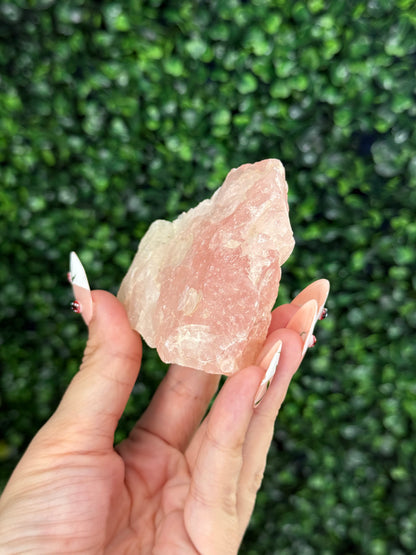 Raw Rose Quartz Crystal From Colorado USA F
