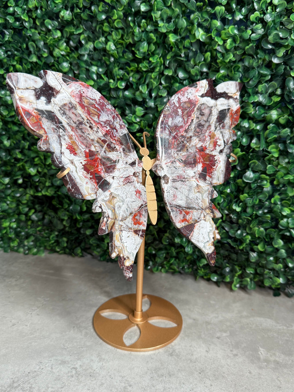 Mexican Lace Agate XL Butterfly Wings Crystal Carvings