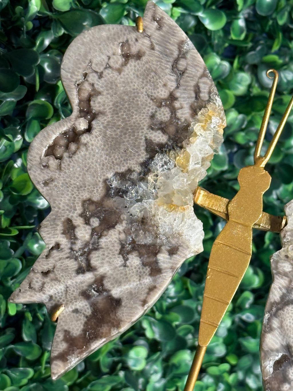 Chocolate Ocean Jasper with Quartz Butterfly Wings from Indonesia