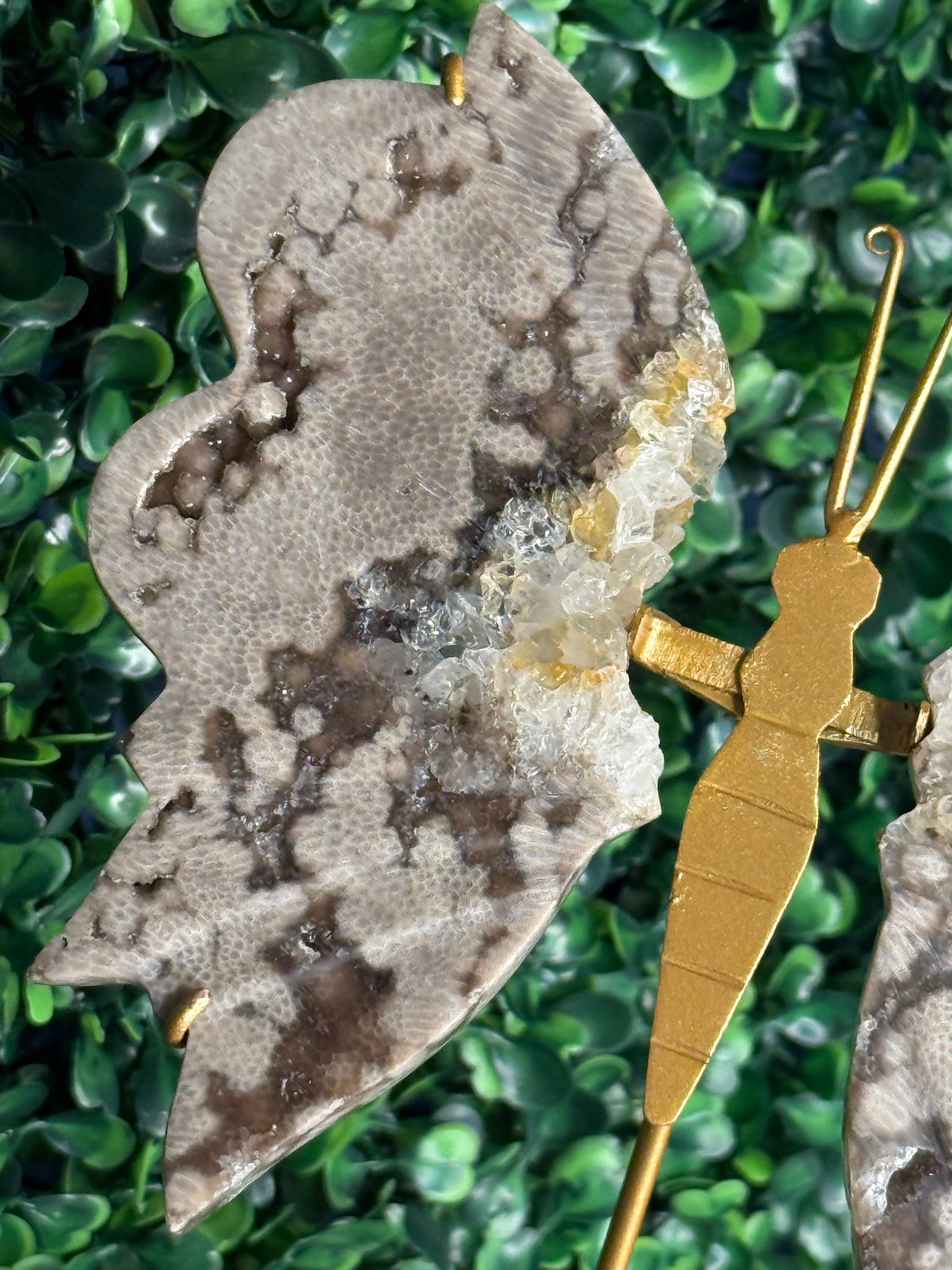 Chocolate Ocean Jasper with Quartz Butterfly Wings from Indonesia