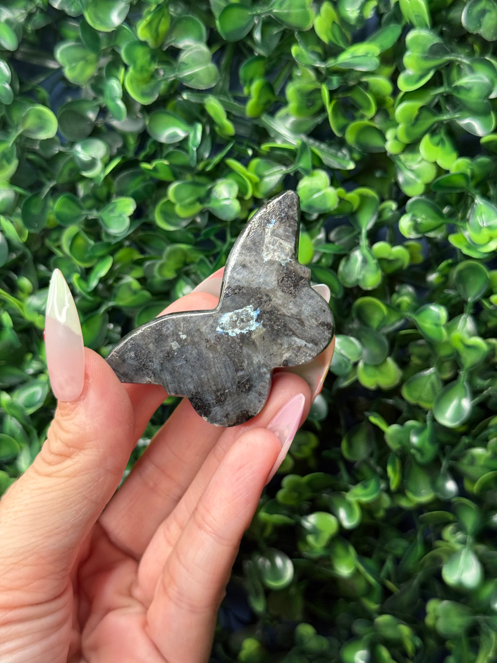 Larvikite Mini Butterfly Crystal Carvings - Pakistan