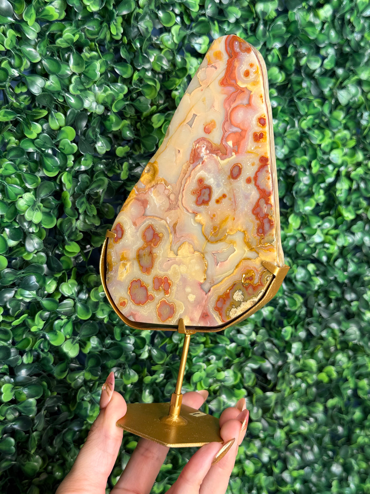 Colourful Crazy Lace Agate Slab from Indonesia A