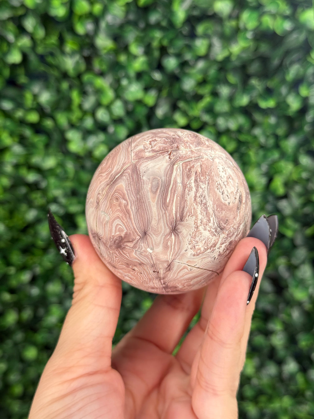 Pink Picture Jasper Spheres A