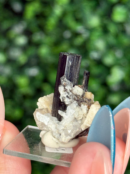 Black Tourmaline (Schorl) Specimen with Albite & Quartz — Skardu Valley, Pakistan - A