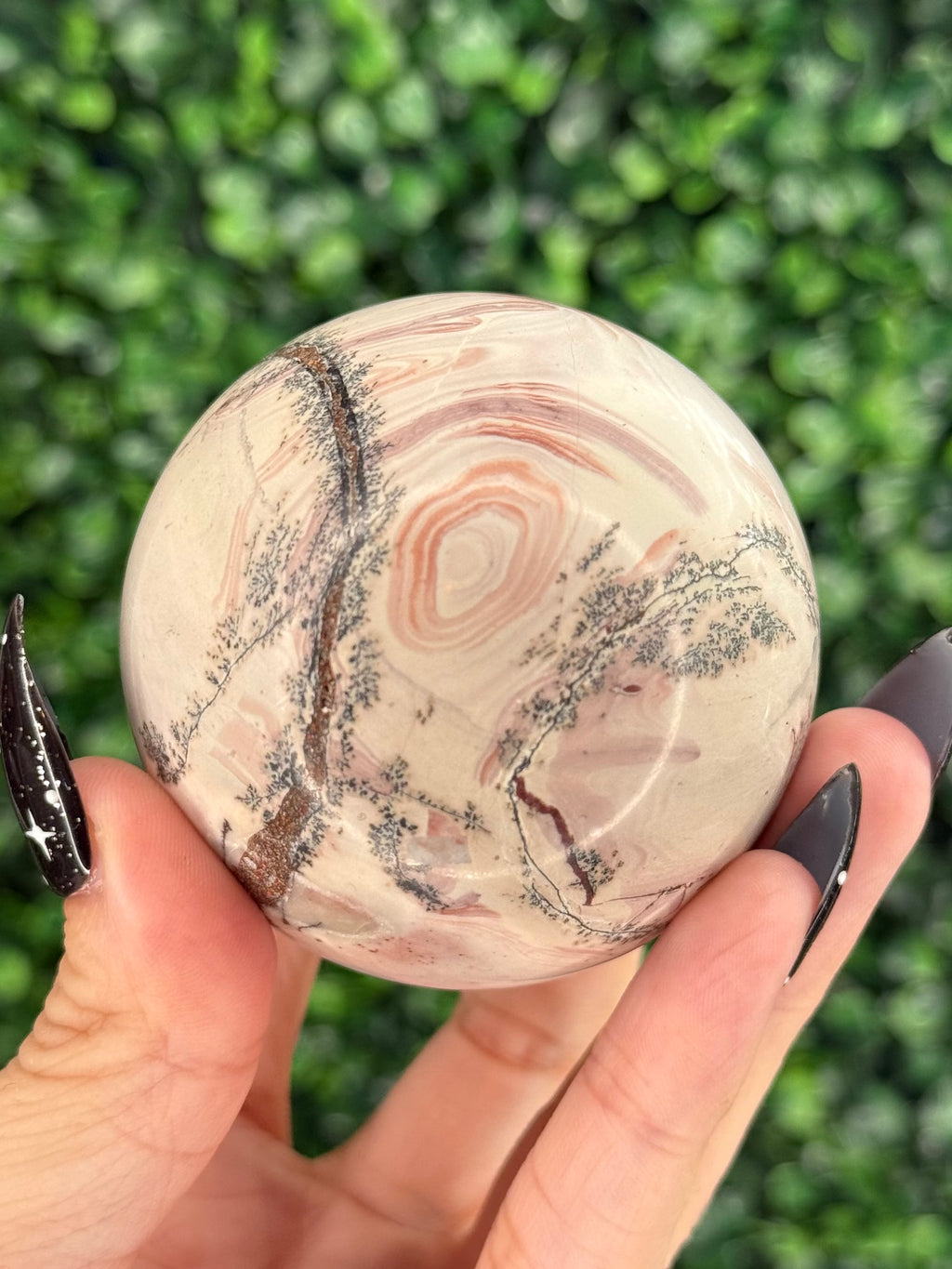 Pink Picture Jasper Spheres D