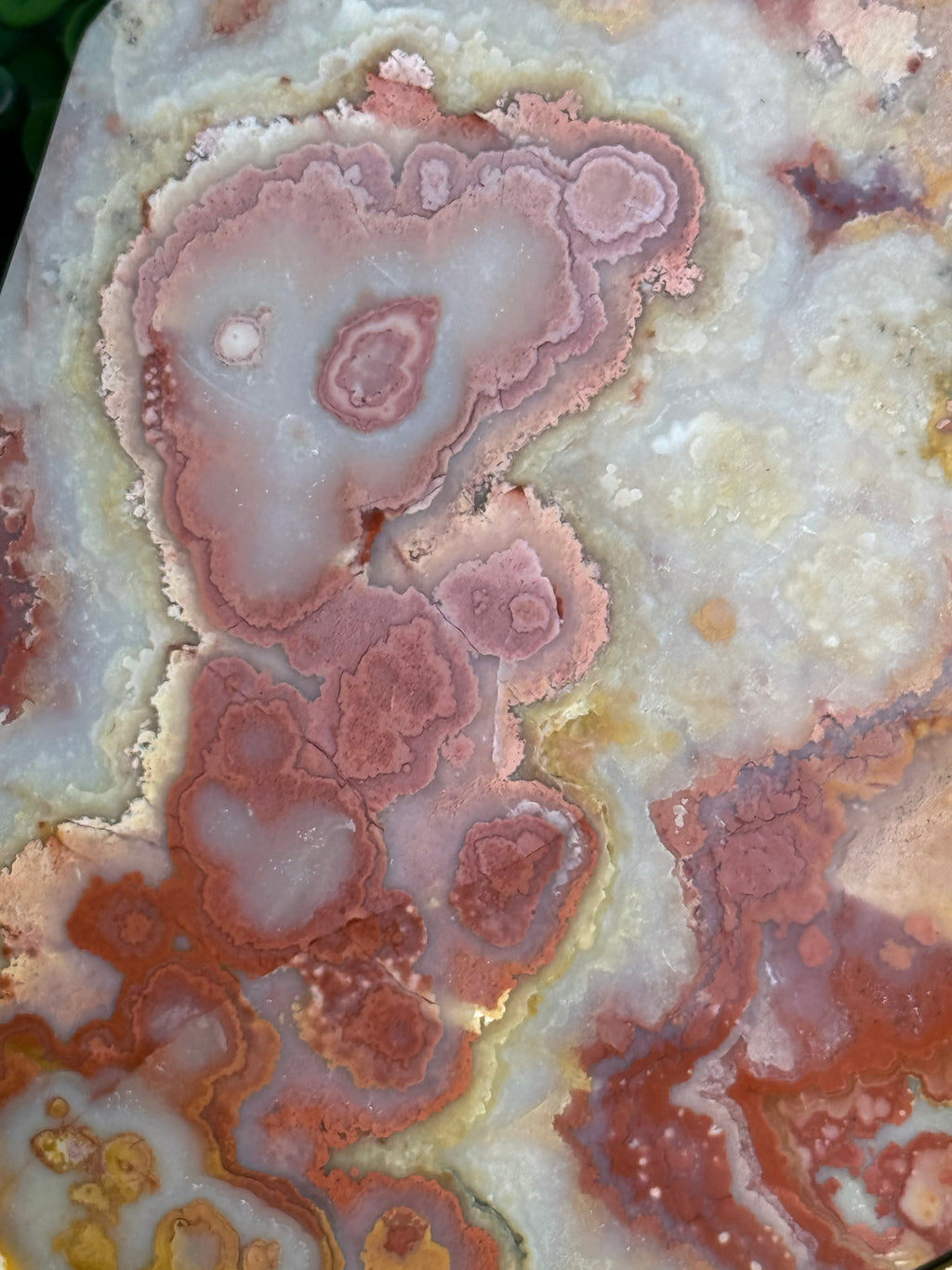 Colourful Crazy Lace Agate Slab from Indonesia F