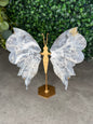 Blue Plume Agate Butterfly Wings Crystal Carvings from Indonesia