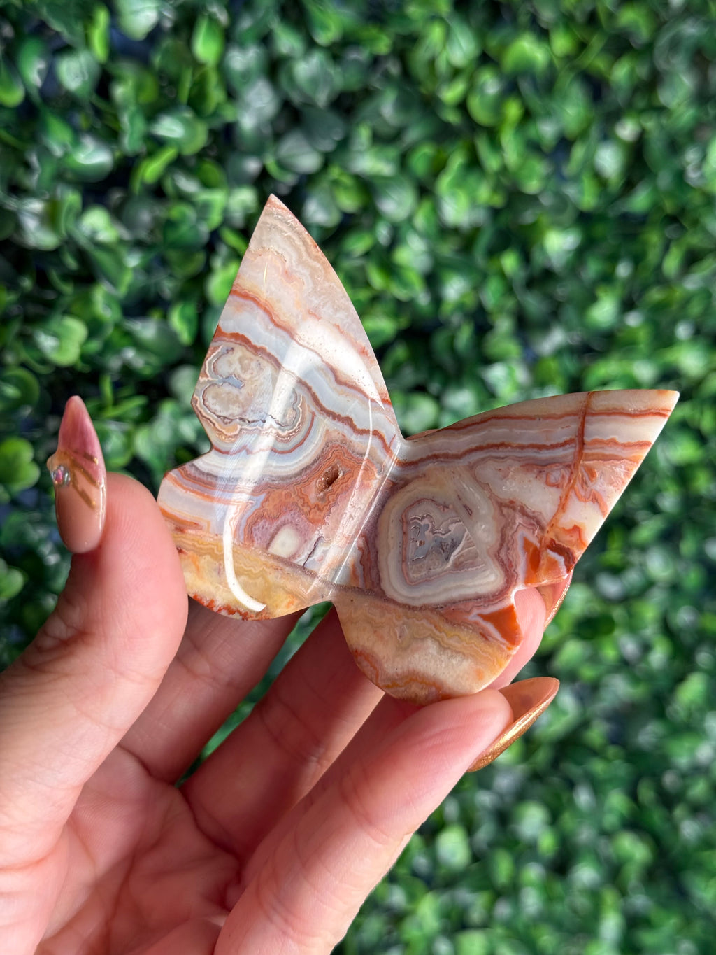 Crazy Lace Agate 3D Butterfly Crystal Carving from Indonesia C