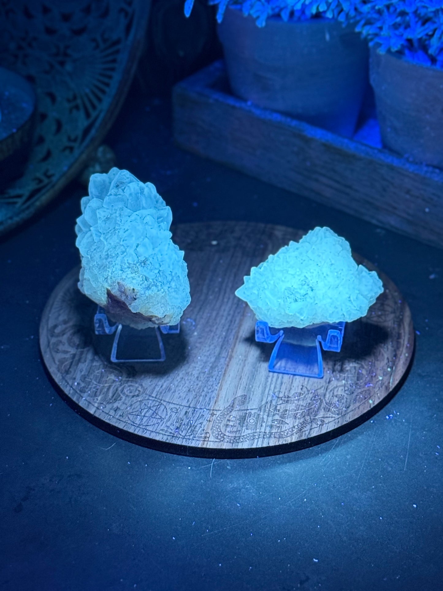 Apophyllite UV Reactive Crystal Specimens