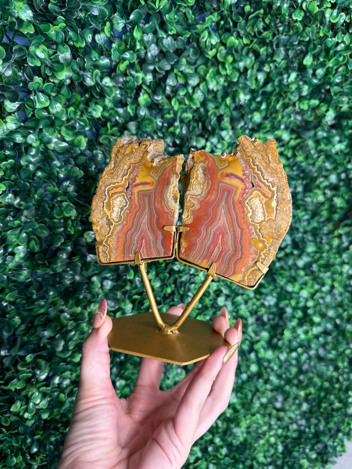 Colourful Crazy Lace Agate Slab Pair from Indonesia - L