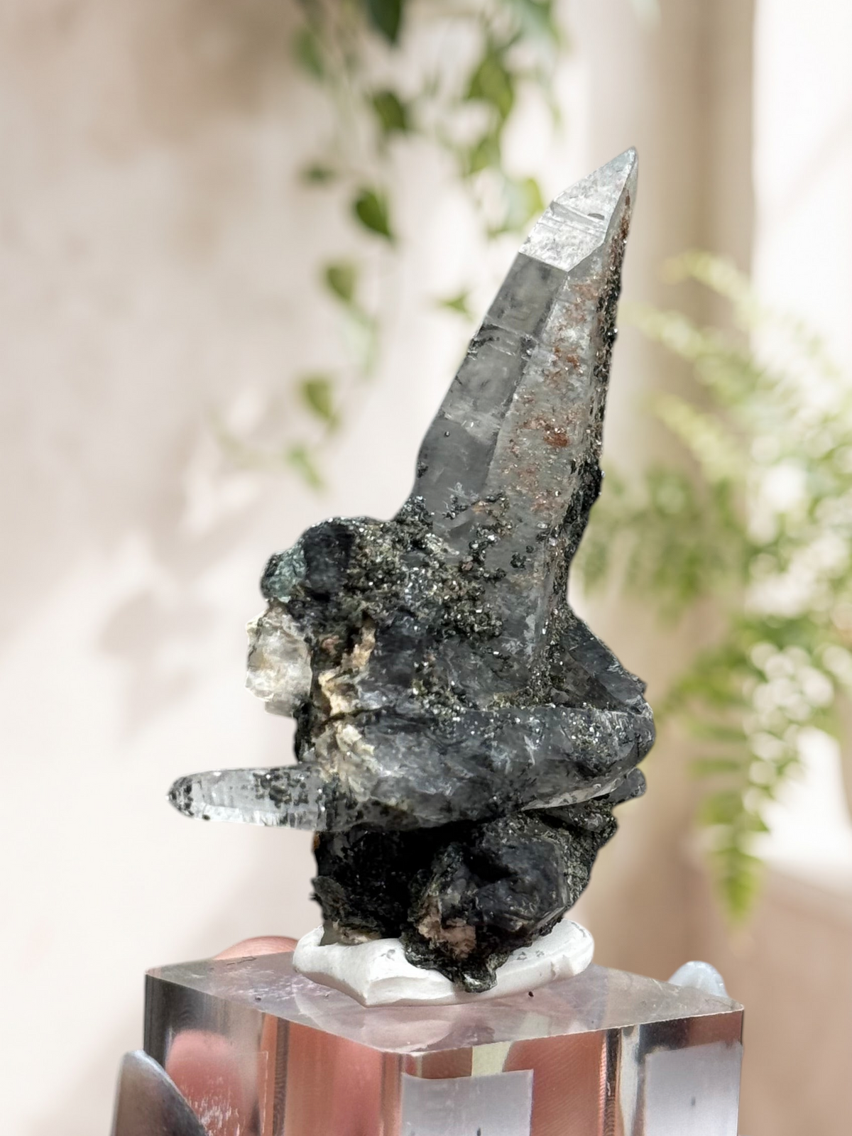 Crystal Glade laser quartz specimen from Pakistan with a slender, tapering point and dark mineral matrix on a stand.