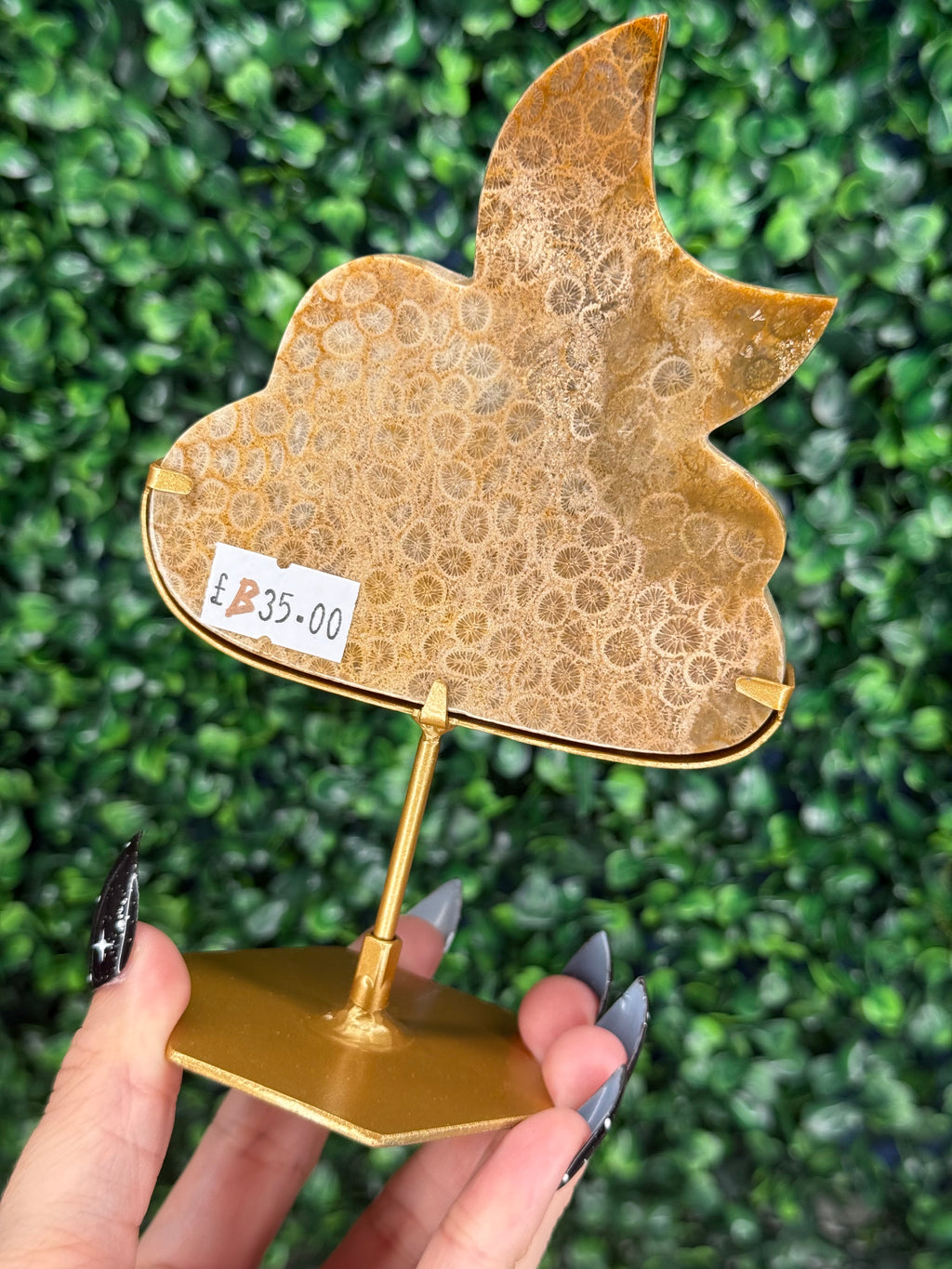 Fossil Coral Cloud & Moon Crystal Carving - B