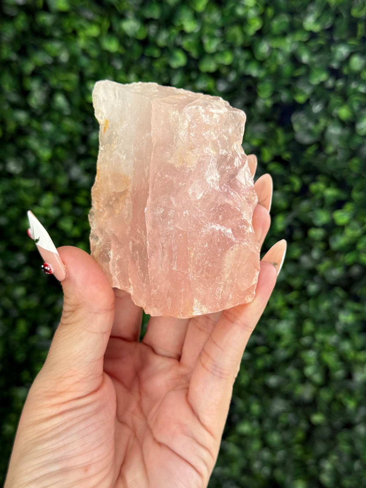 Raw Rose Quartz Crystal From Colorado USA B