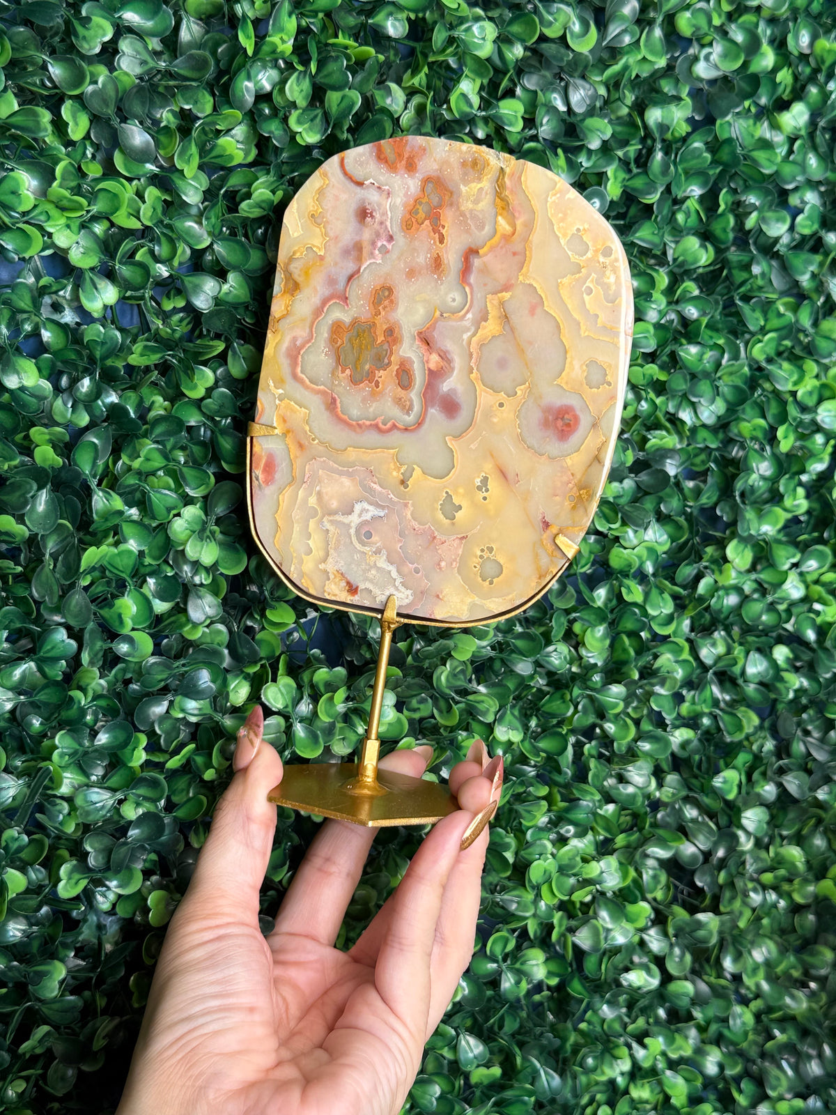 Colourful Crazy Lace Agate Slab from Indonesia B