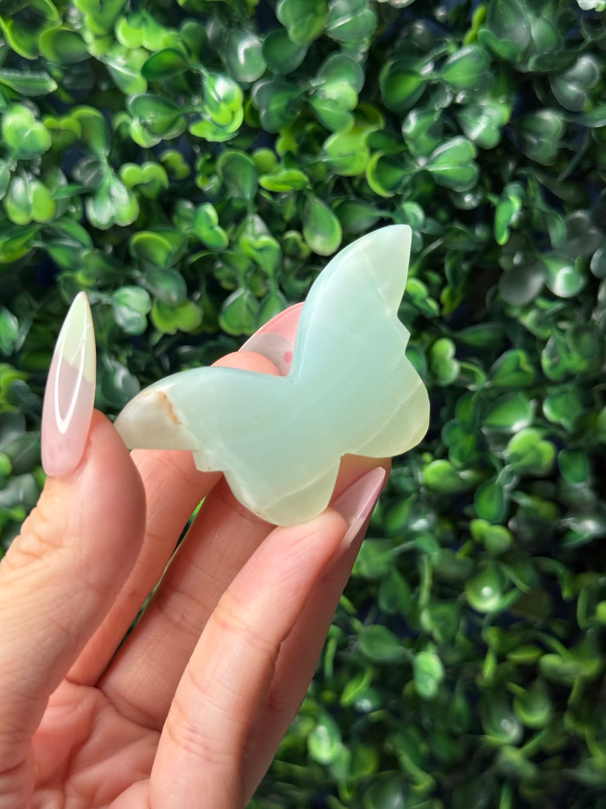 Caribbean Calcite Mini Butterfly Crystal Carvings - Pakistan