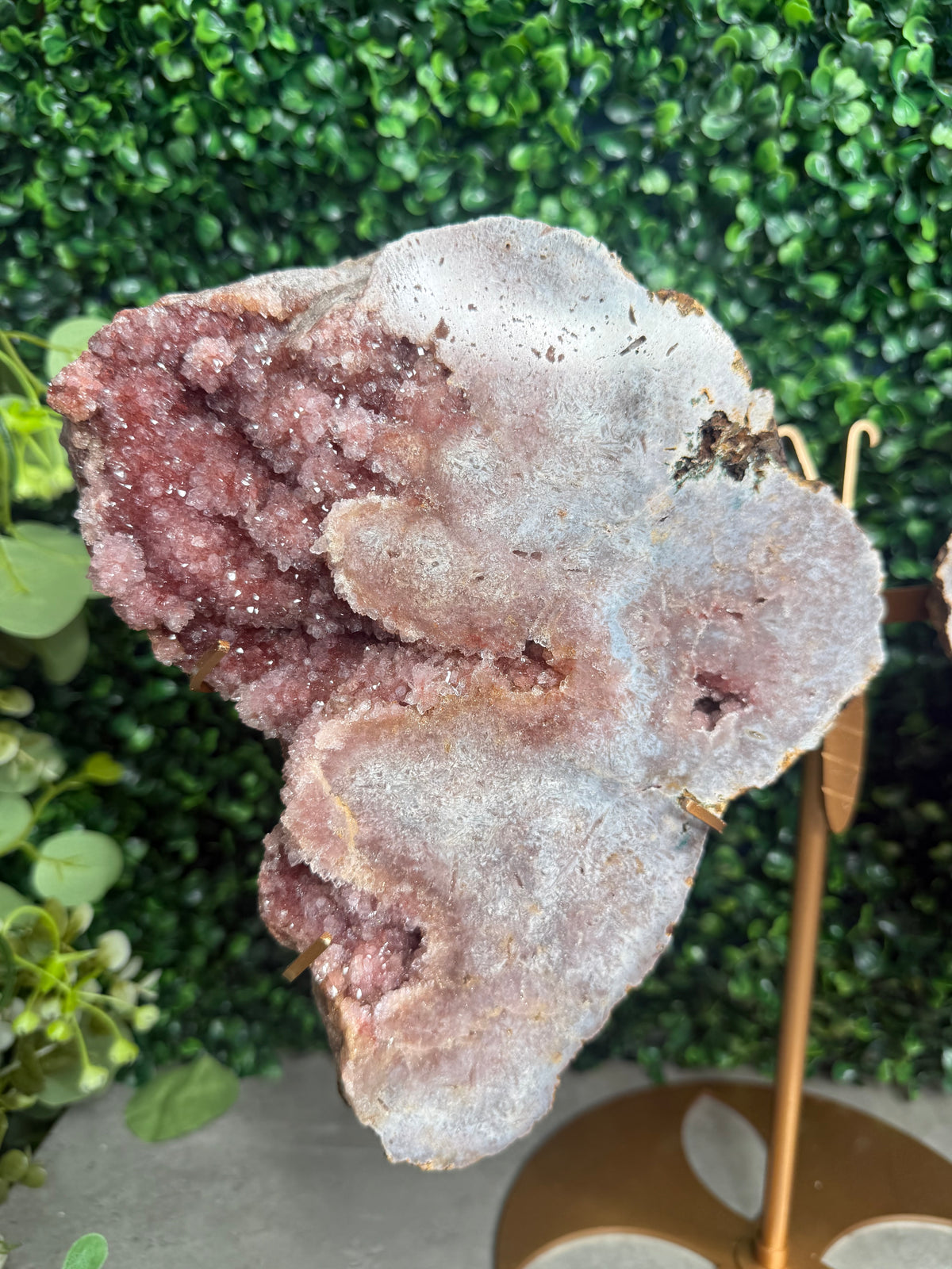 3.5kg XL Pink Amethyst Geode Butterfly Winds Crystal Carving - Brazil