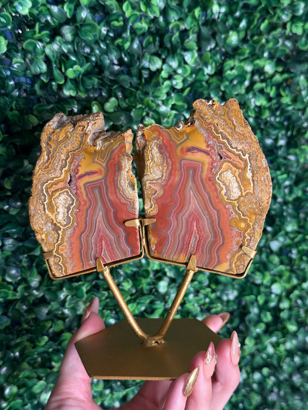 Colourful Crazy Lace Agate Slab Pair from Indonesia - L