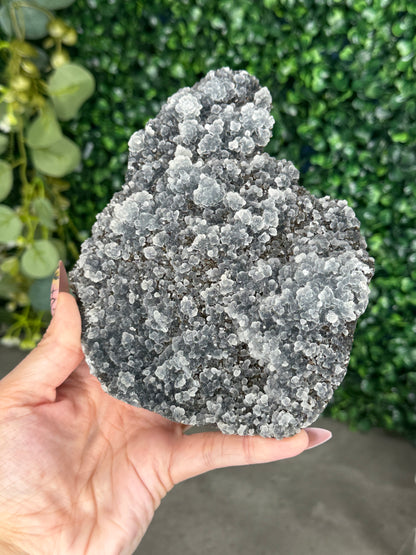 Black Chalcedony Crystal Specimen P