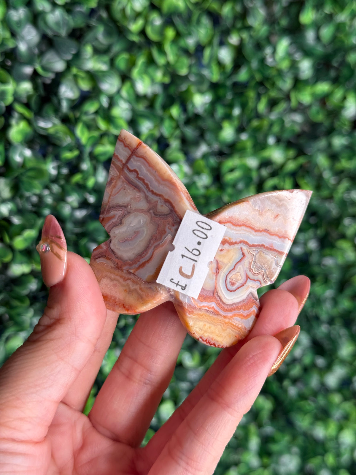 Crazy Lace Agate 3D Butterfly Crystal Carving from Indonesia C