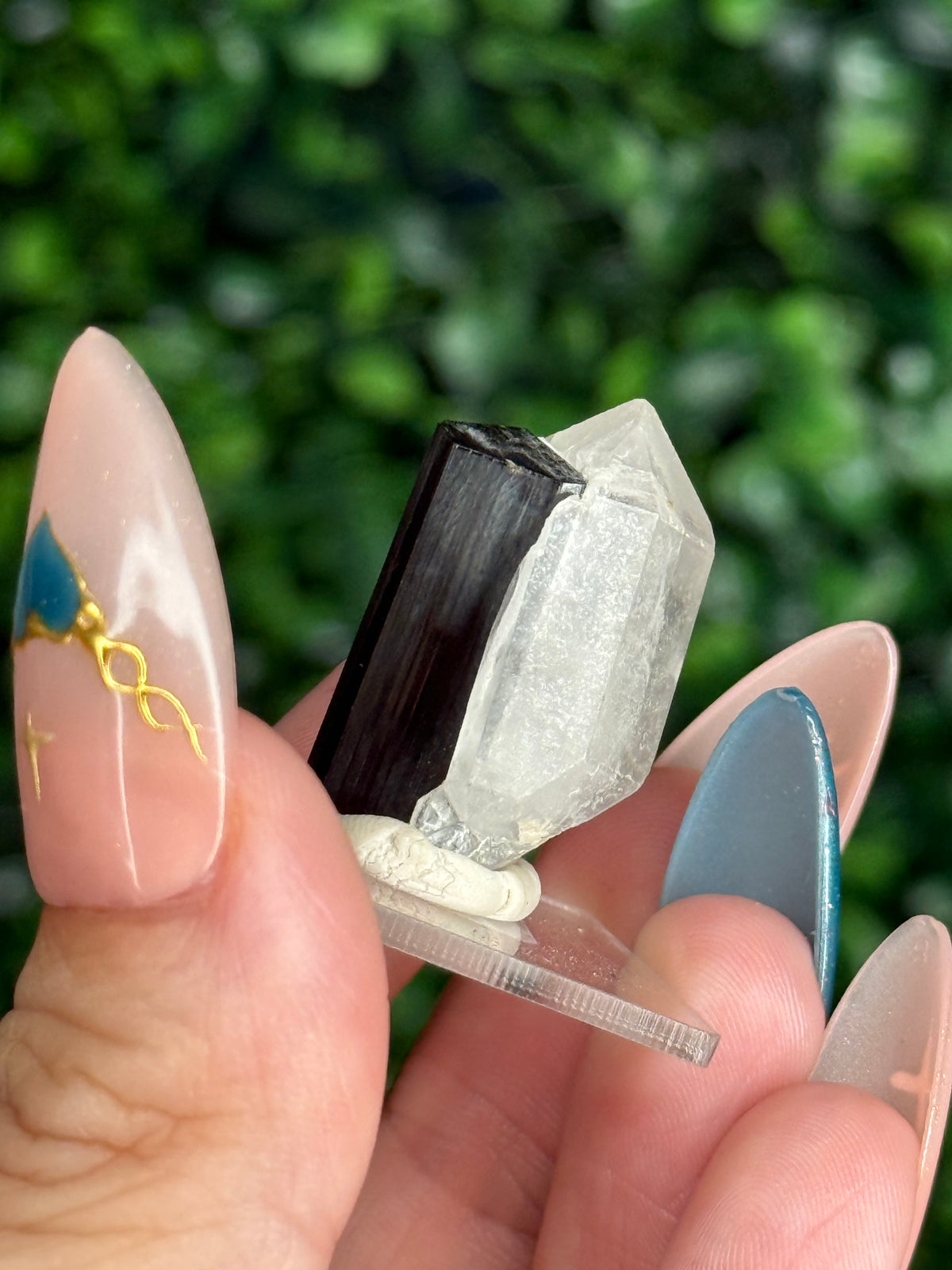 Black Tourmaline with Quartz Specimen — Skardu Valley, Pakistan J