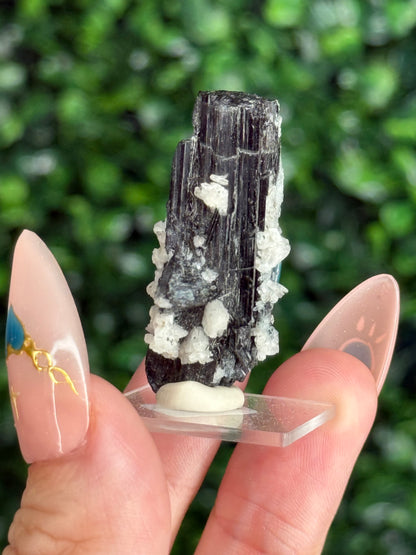 Black Tourmaline with Albite Specimen Skardu Valley, Pakistan E