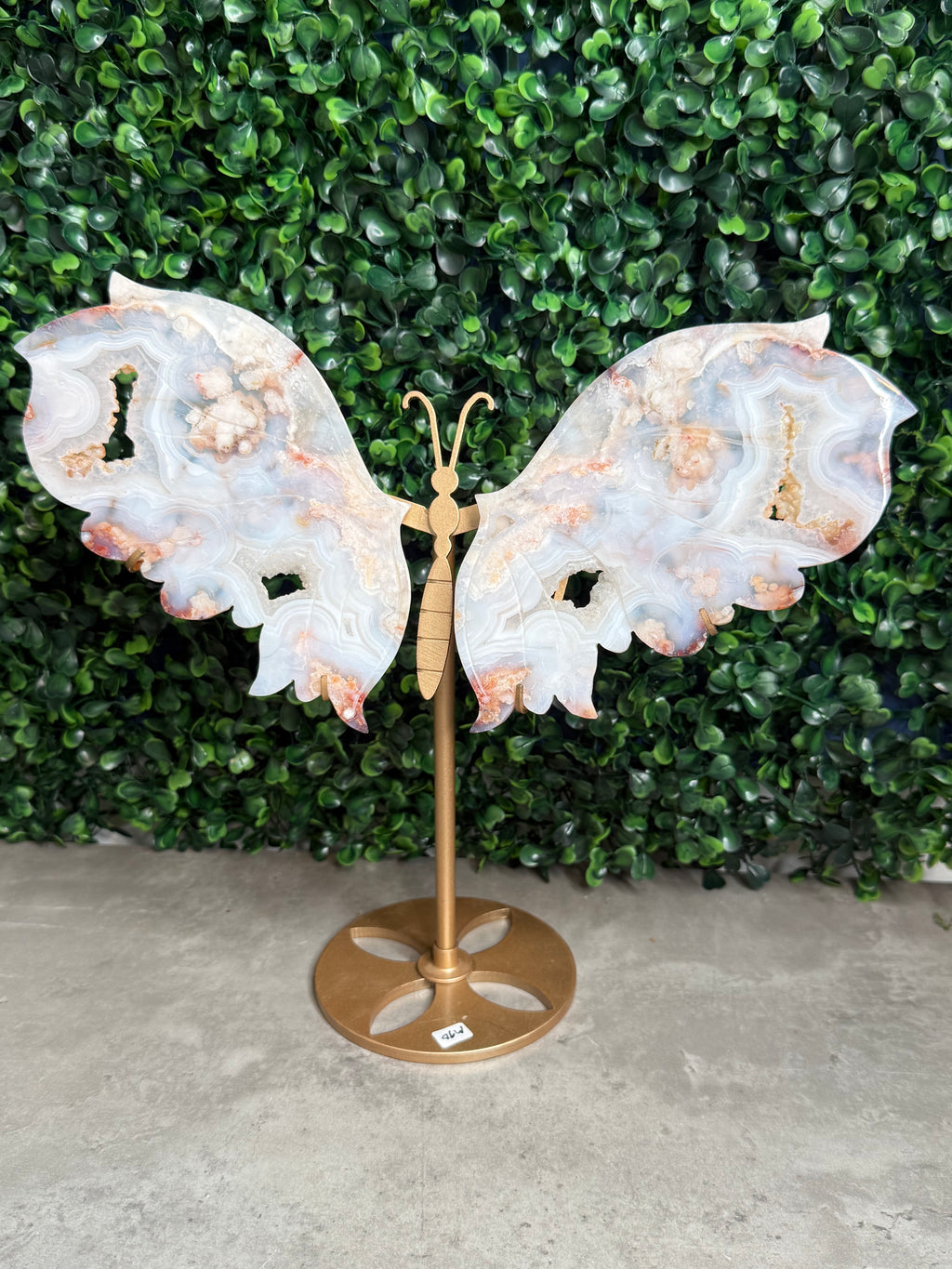 Carnelian Flower Agate Butterfly Wings Crystal Carvings - Large Size - M