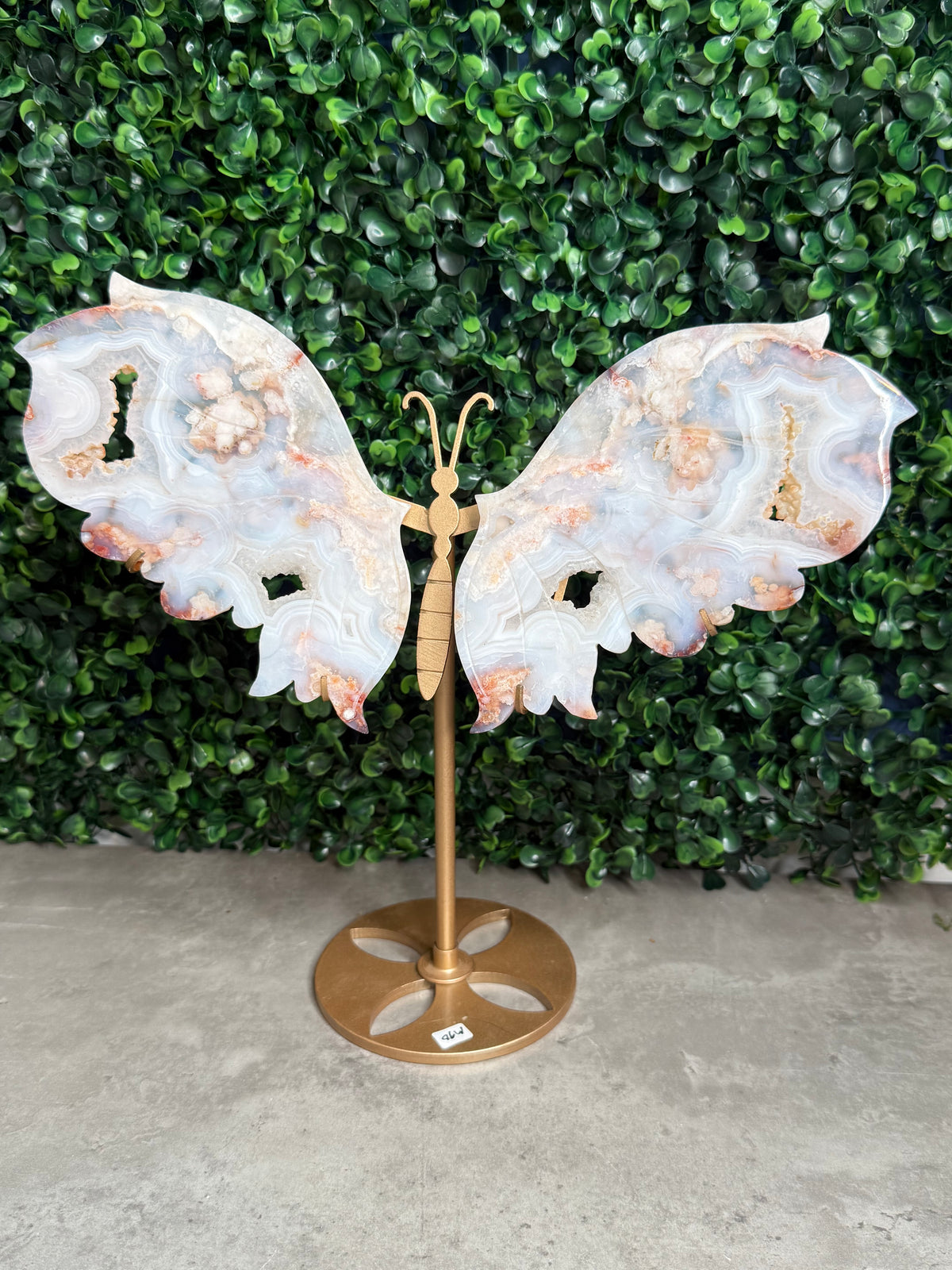 Carnelian Flower Agate Butterfly Wings Crystal Carvings - Large Size - M