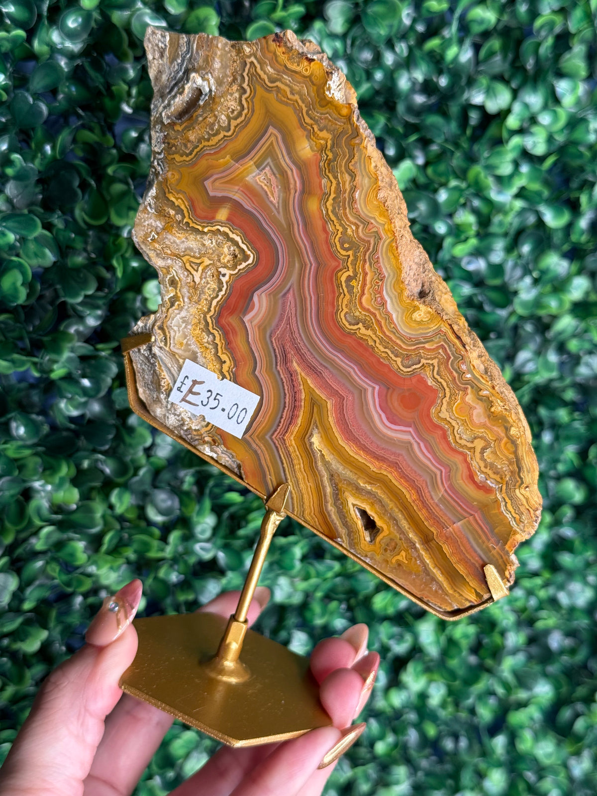 Colourful Crazy Lace Agate Slab from Indonesia - E