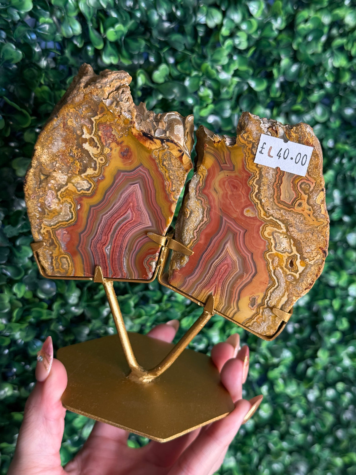 Colourful Crazy Lace Agate Slab Pair from Indonesia - L