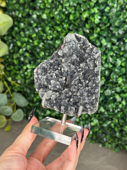 Black Chalcedony Crystal Specimen J