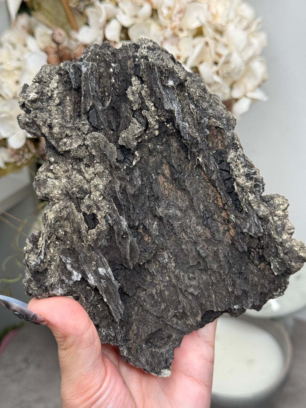 Pyritized Petrified Wood from Indonesia - A