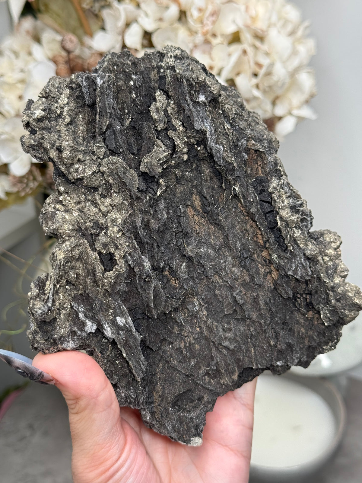 Pyritized Petrified Wood from Indonesia - A
