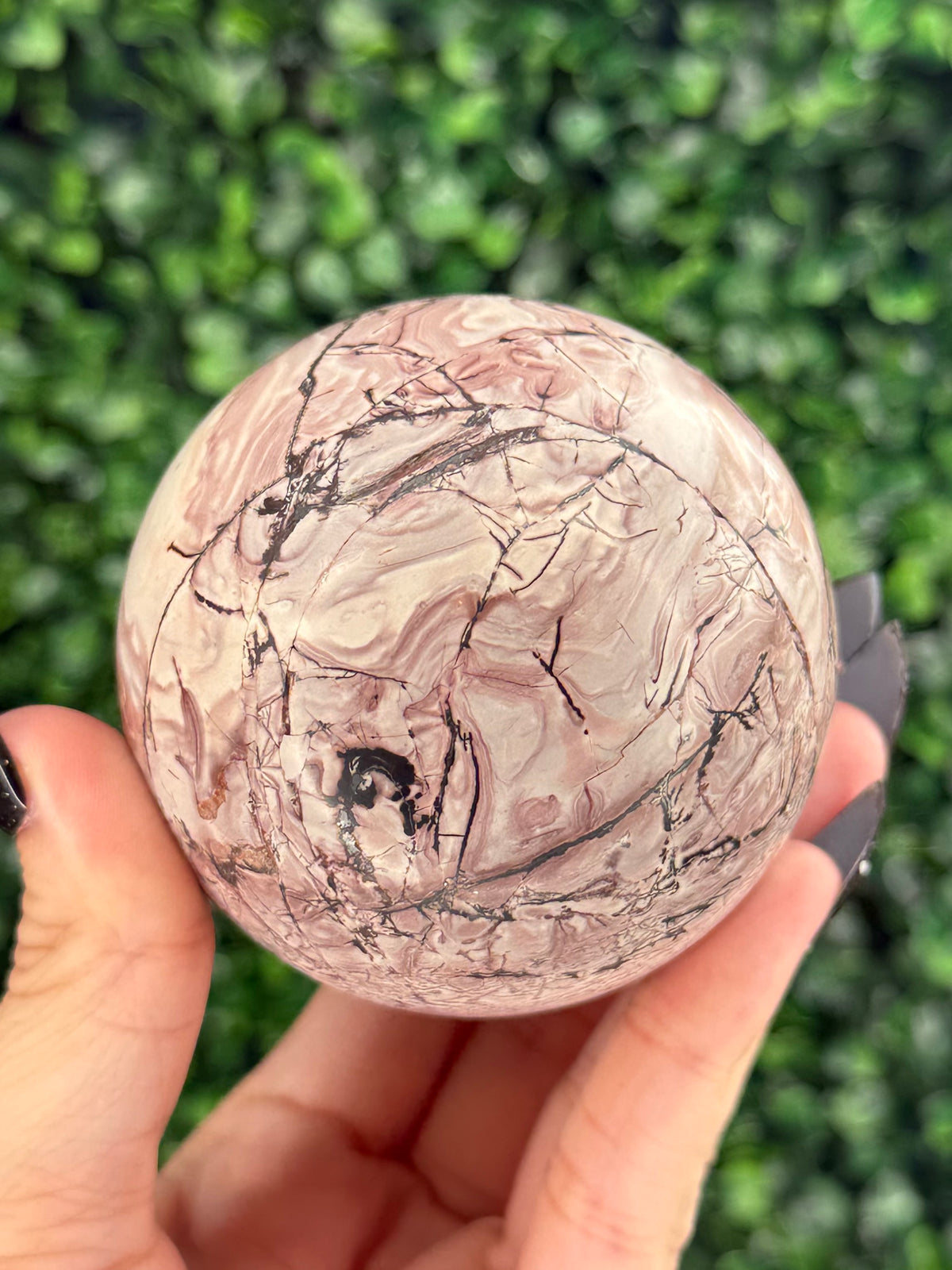 Pink Picture Jasper Spheres C
