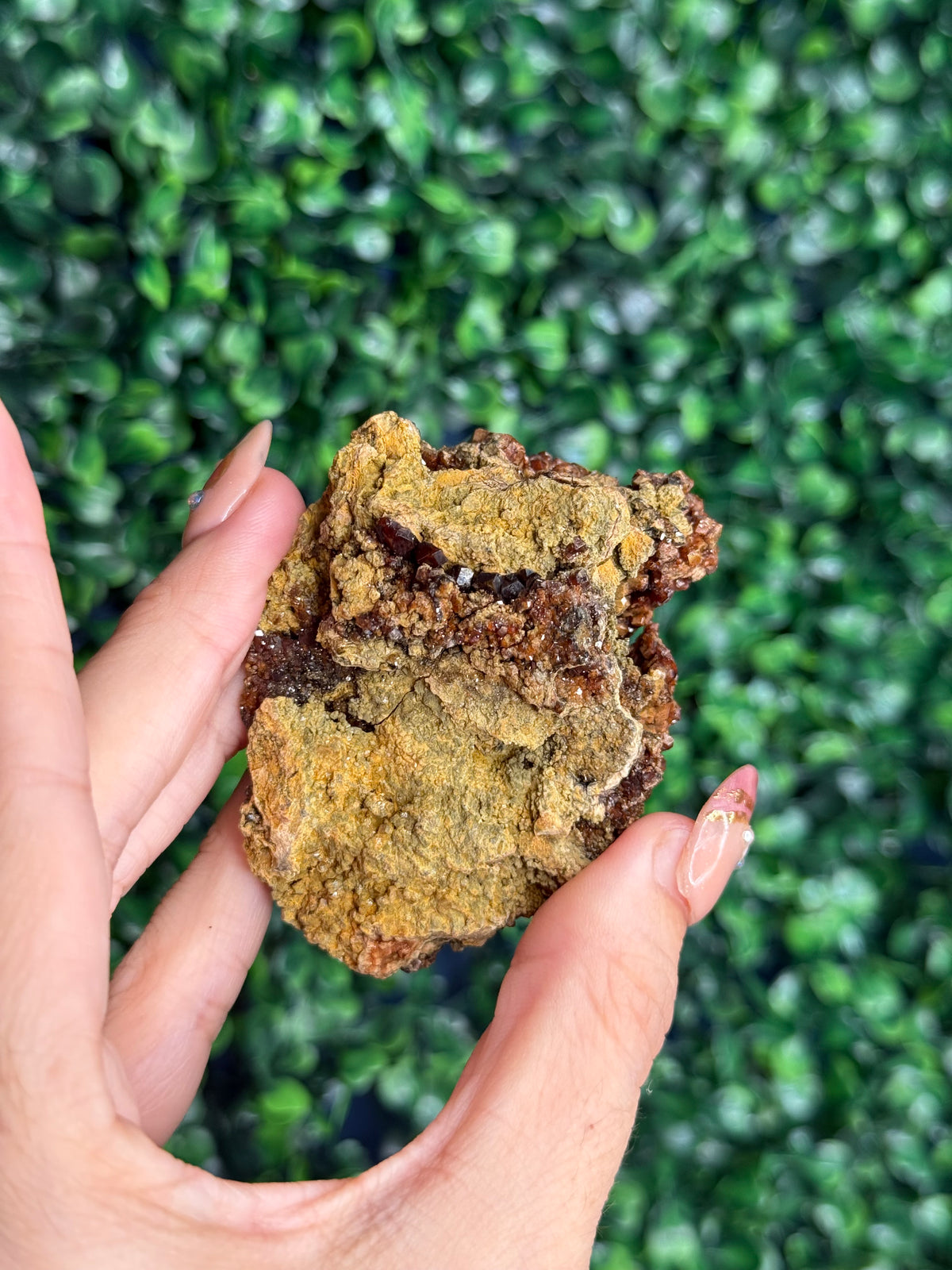 Andradite garnet from Nusa Tenggara Timur - Indonesia - C
